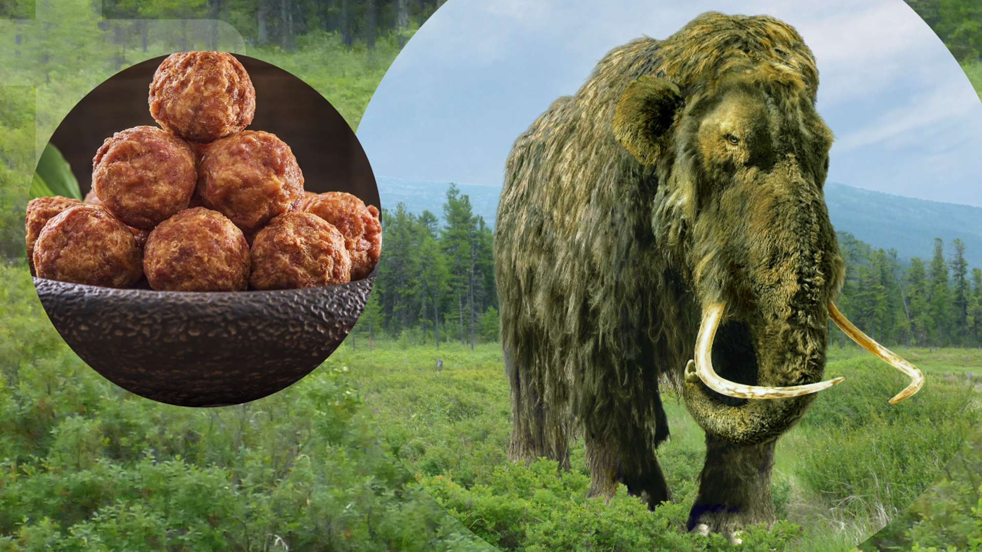 Dalla “carne sintetica” alla polpetta di Mammut: il Brevetto in stile Jurassic Park è servito