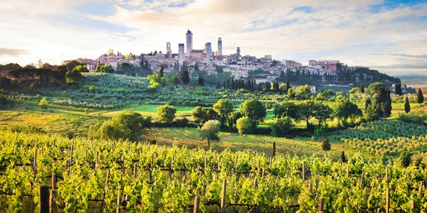 Dalla Divina Commedia del 1321 alle vie di Saragozza del 2025: la Vernaccia continua a farsi riconoscere – e a farsi rispettare